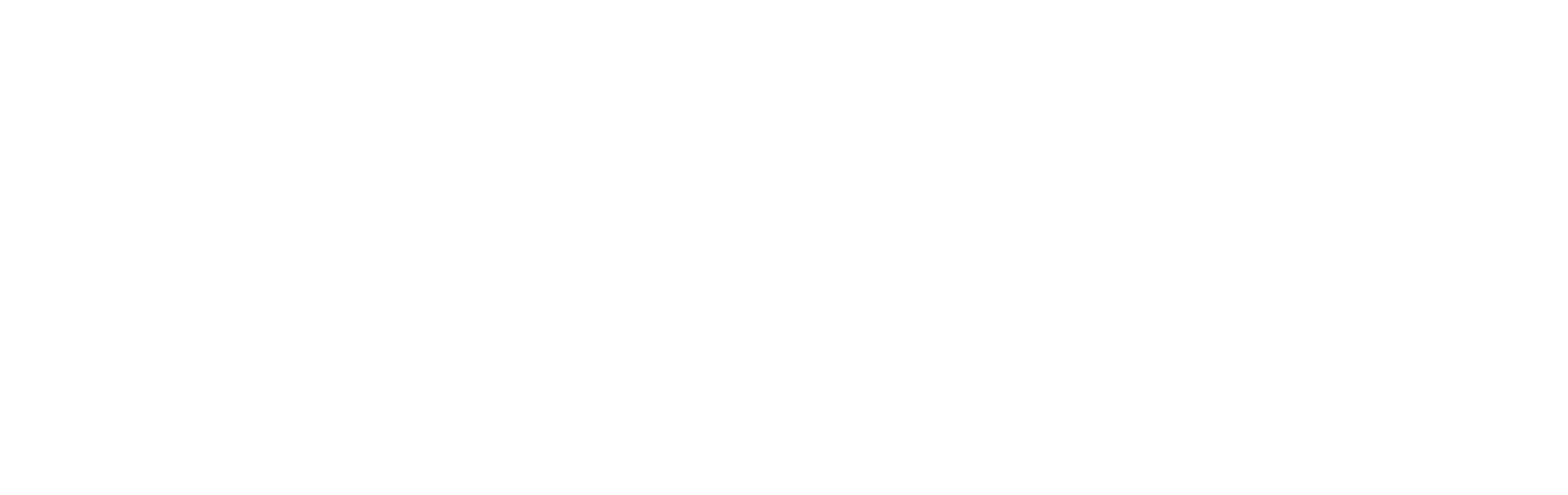 CCI France